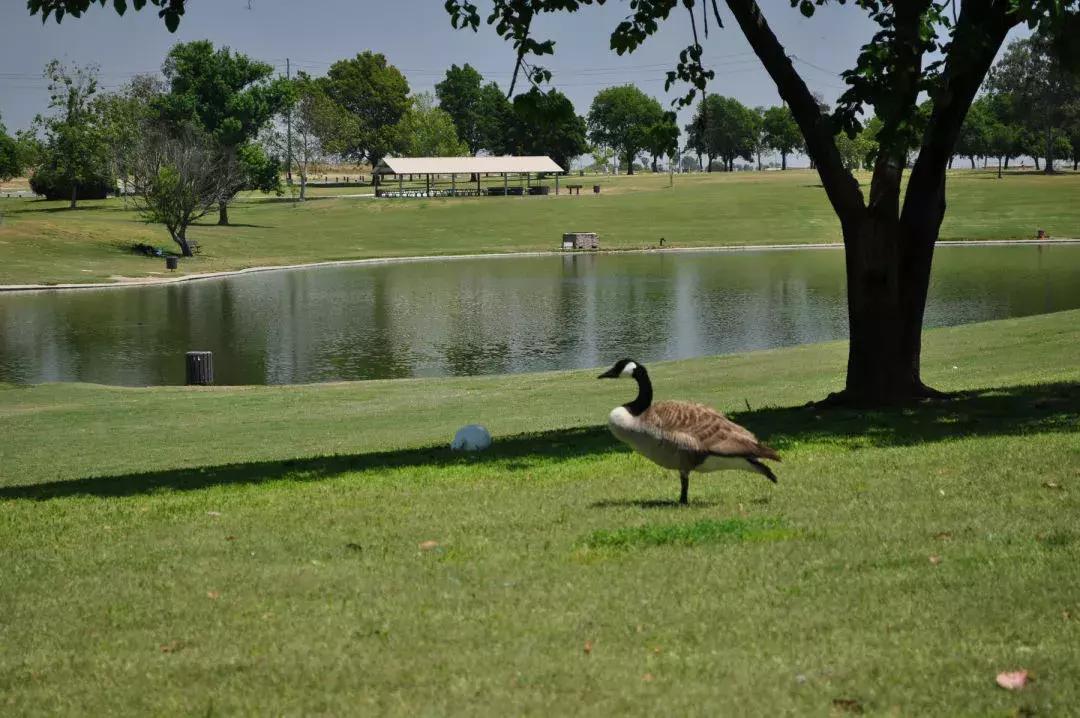 41万笋盘出售好房推荐,特价房捡漏房源90平米