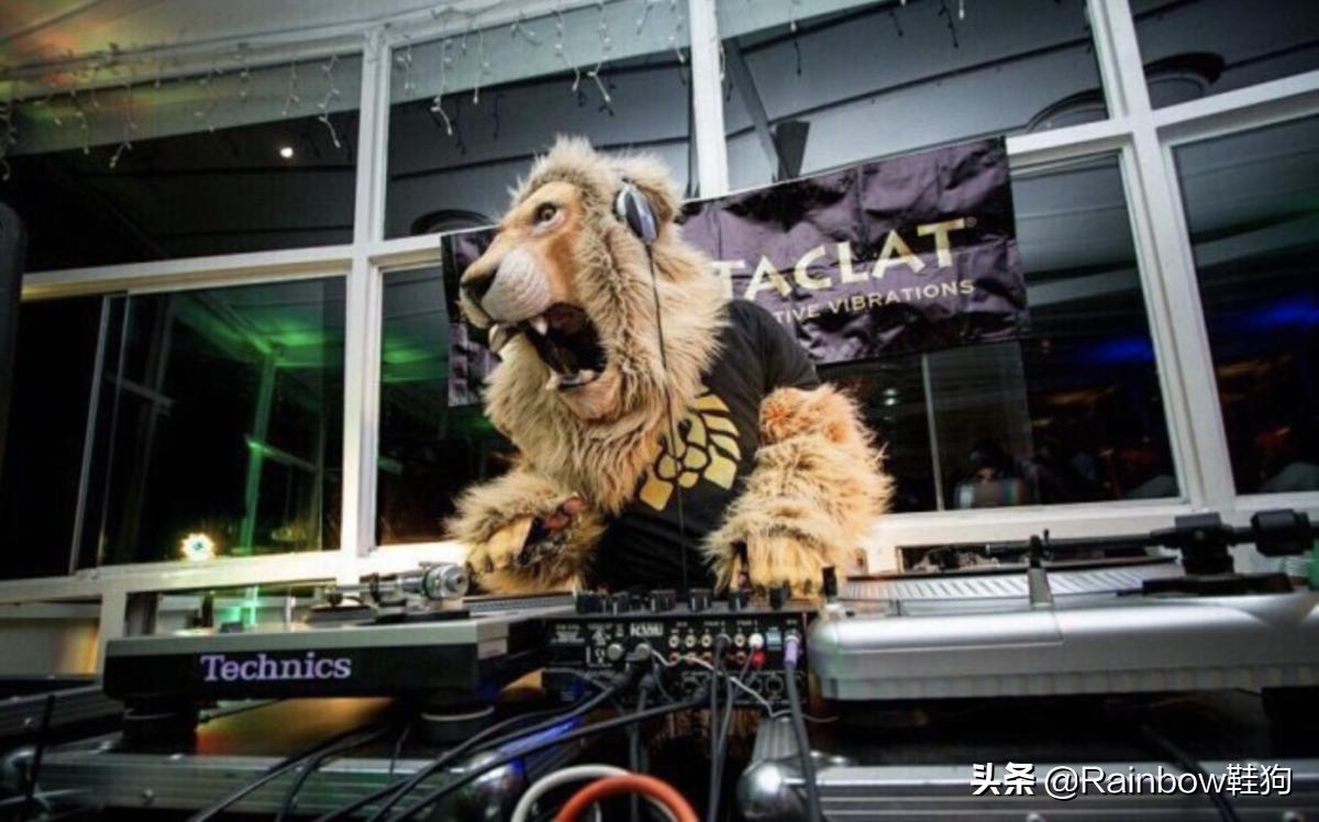 小狮子手链编织教程没有鞋带 (rastaclat手链编织教程)