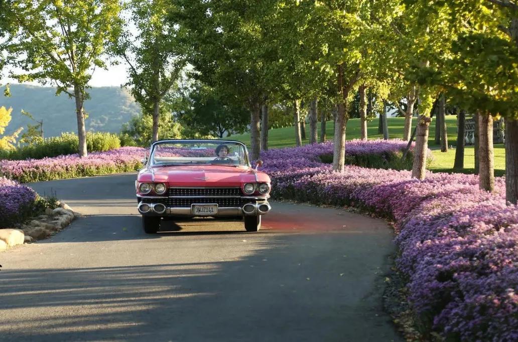 终极海报电影喜宝 (电影喜宝有哪些槽点)