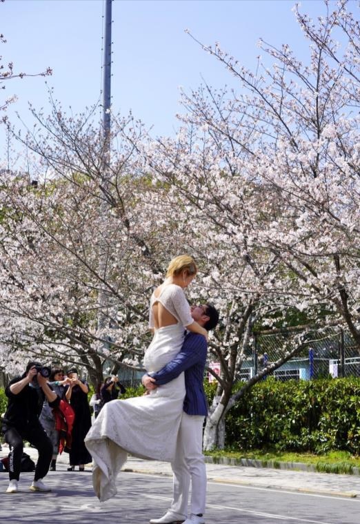 对同济大学的印象,你对同济大学有哪些认识