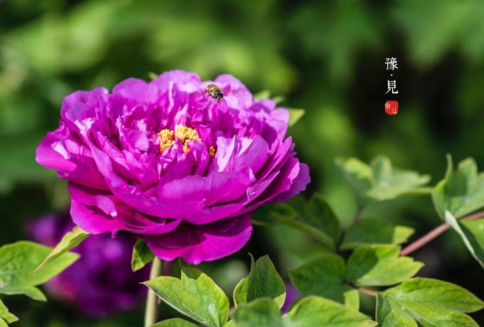 河南郑州市中心旅游,河南七日游经典路线推荐