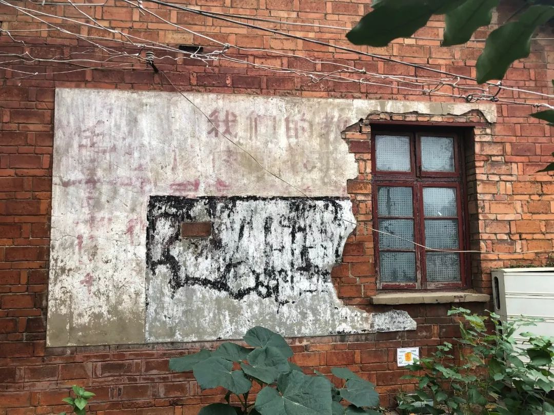 劳荣枝姑娘照片,劳荣枝案女主角