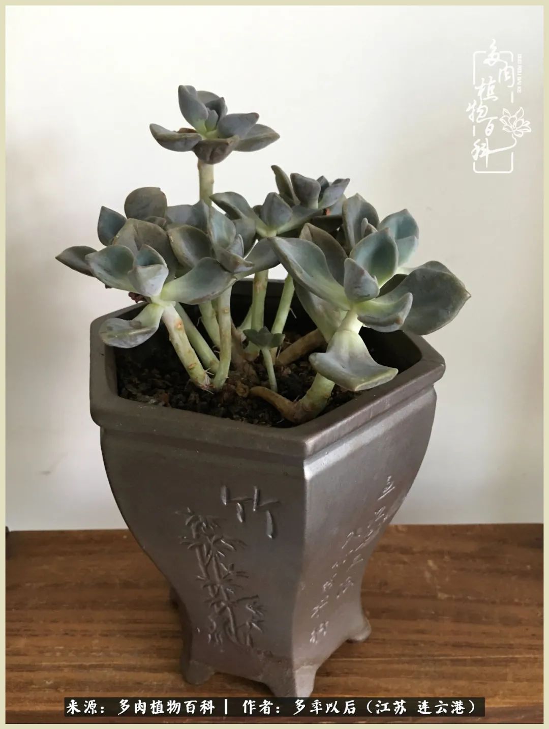 多去花前谈以后，少来月下忆当年