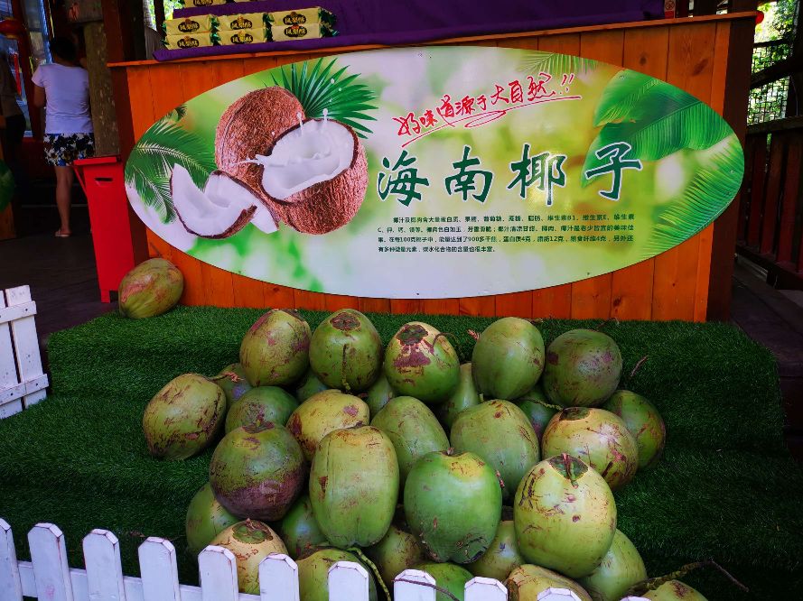 中国最大马尔代夫蜈支洲岛,中国马尔代夫蜈支洲岛视频