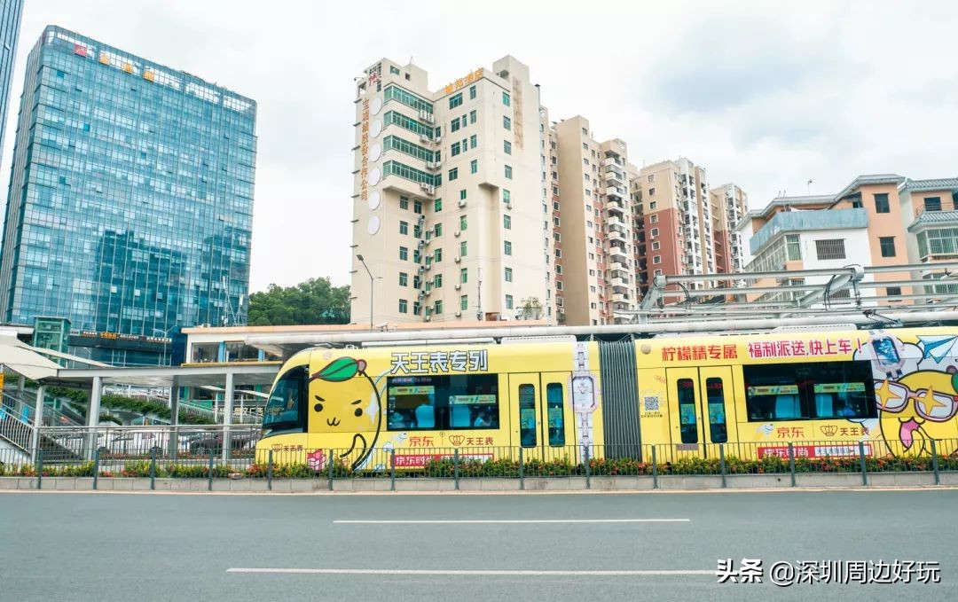 住在深圳的人,住在深圳的市民