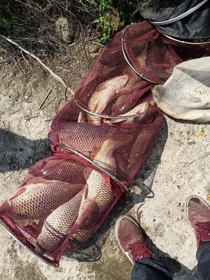 冬季海拉尔一日游攻略最新,海拉尔钓路亚的视频