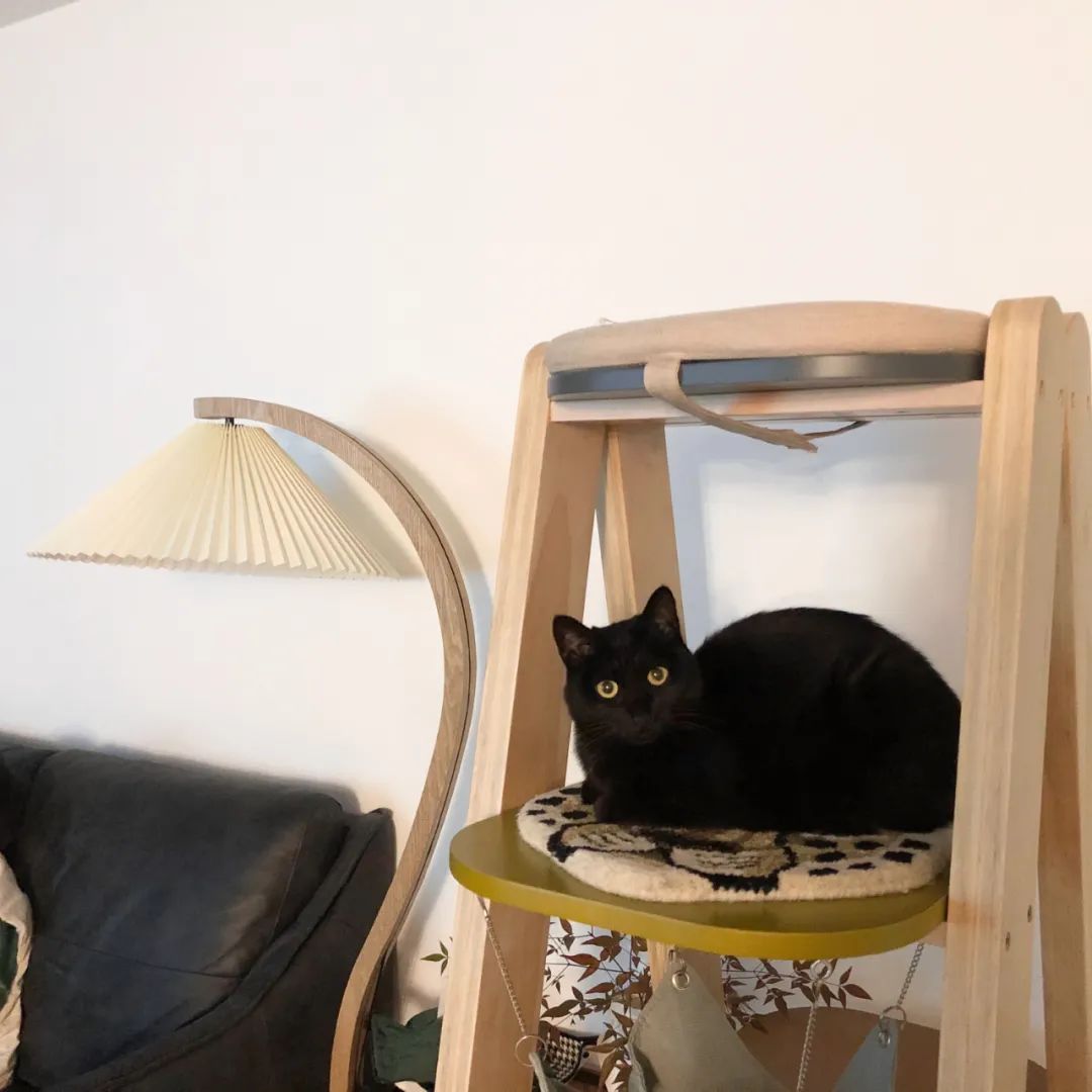 邻居秀家|细节控的家有多治愈?单凭她家开关就能出圈了