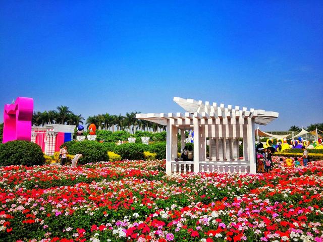 百万葵园一日游,百万葵园最佳游玩时间