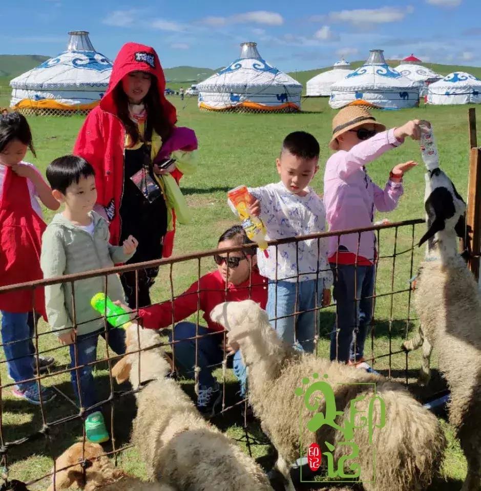 呼伦贝尔亲子游第二季,呼伦贝尔暑期亲子游