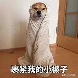 沈阳的全年天气怎么样啊,沈阳天气到底有多冷