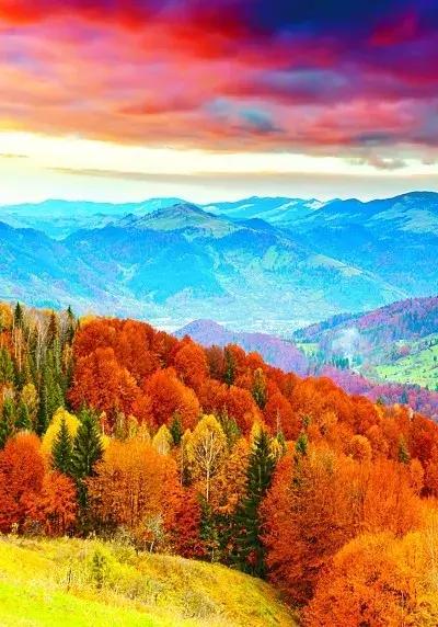 川西彩林自驾风景,川西三大草原绝美自驾游