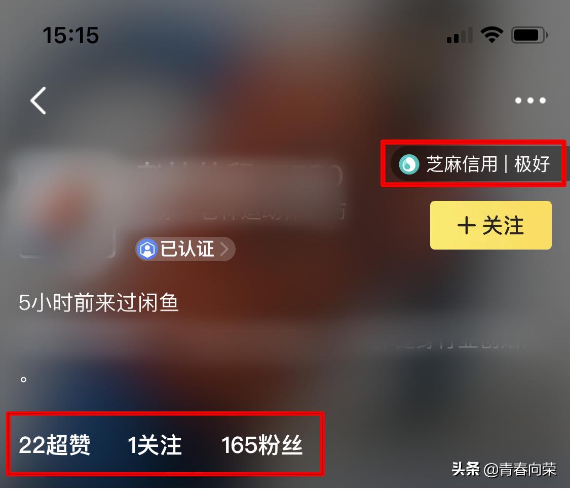 新手闲鱼卖家注意事项,闲鱼操作流程及注意事项