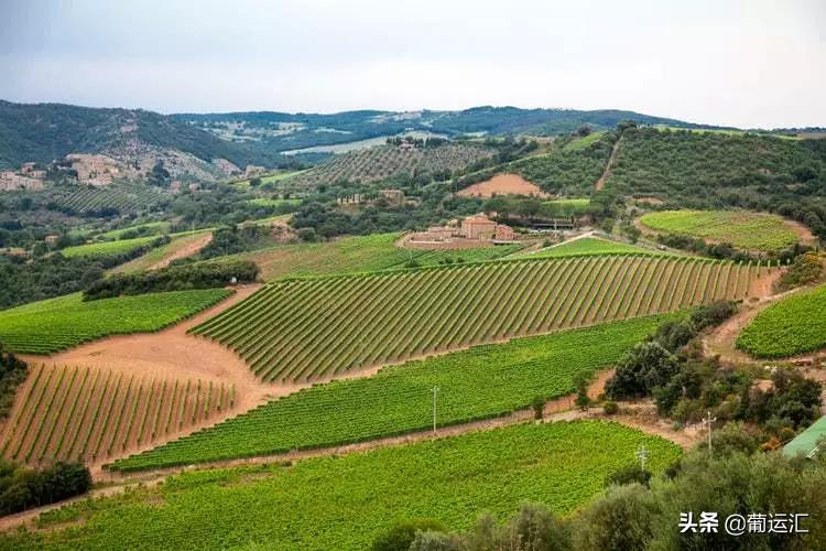 同样是公鸡为什么它的地位那么高,公鸡为什么那么威武