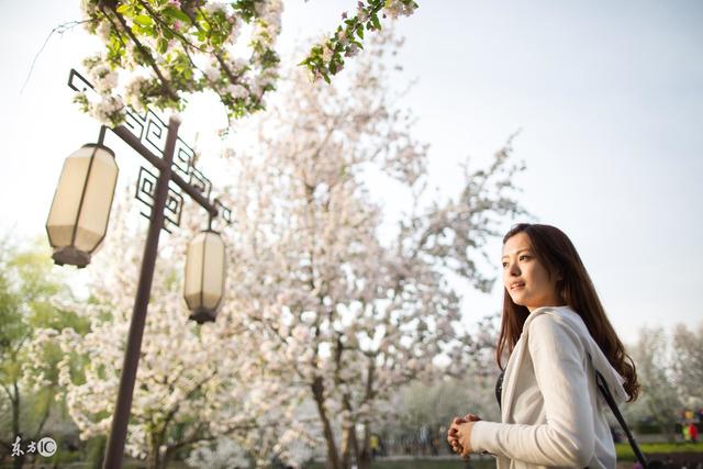 小说：小伙和白富美互换体感，他在宿舍睡出几十万床垫效果