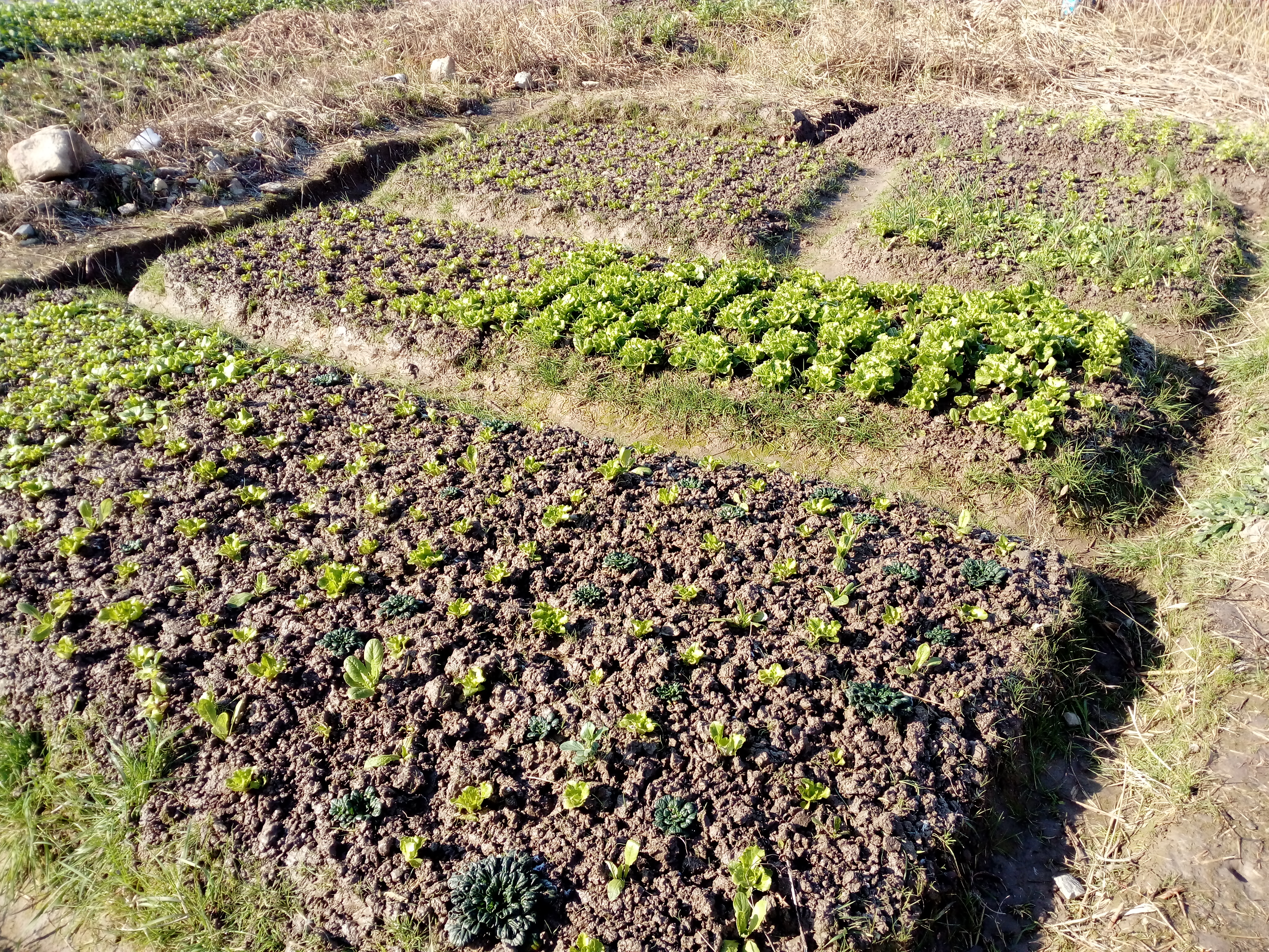 宁波杭州湾新区的房子值不值得买,宁波杭州湾新区最新进展