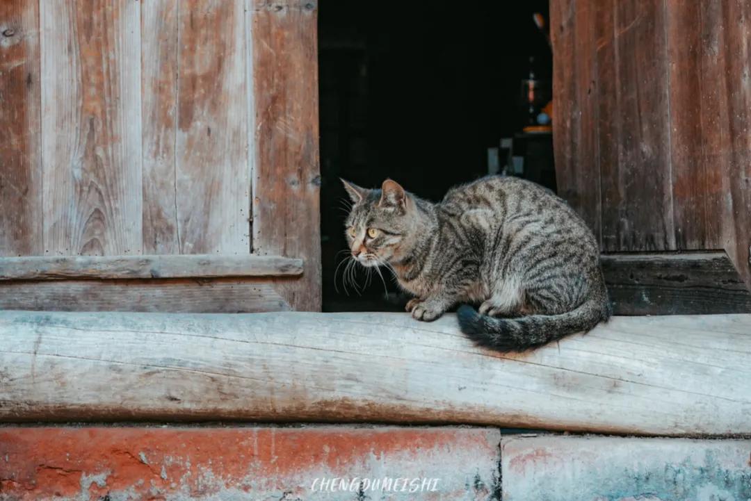 四川省青神县有哪些地方,四川青神有什么好玩的