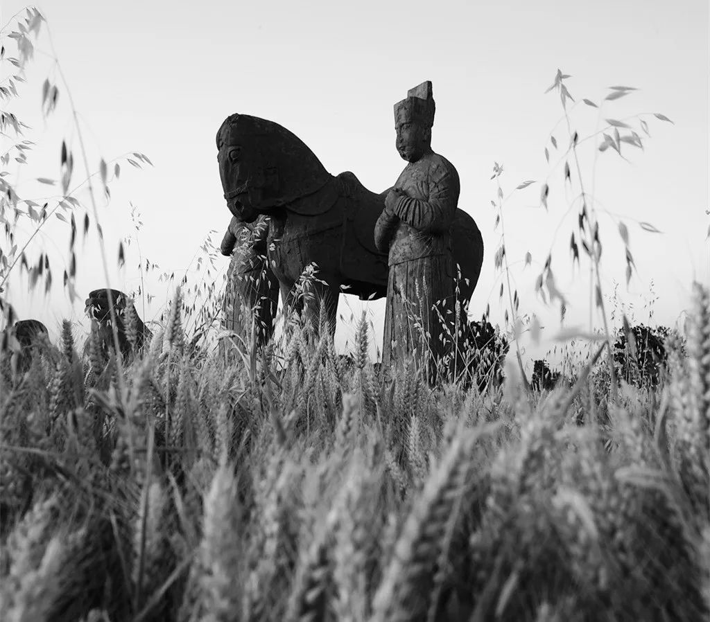 苟利国家生死以，岂因祸福避趋之——玉翁仲