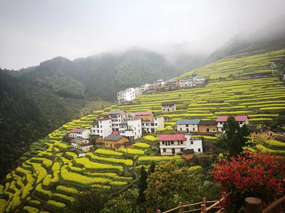 人间最美四月天赏自然春景,人间最美不过四月天图