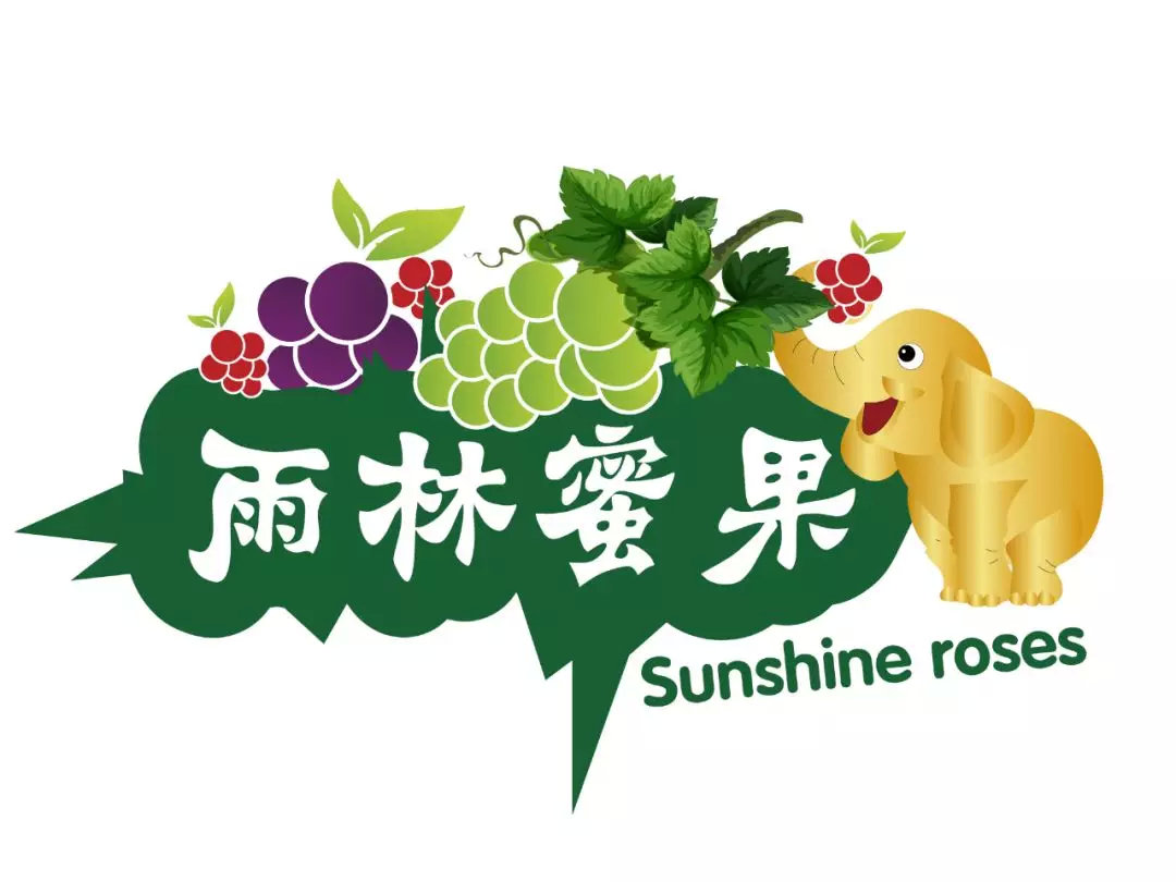 个人logo设计免费在线,logo设计在线生成免费创意