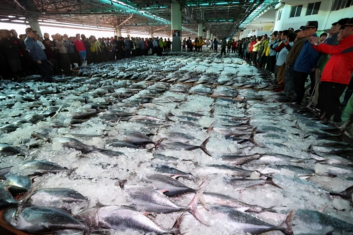 外媒揽要丨11月11日晚报：挪威学者将研究鱼肝油预防新冠病毒的功效