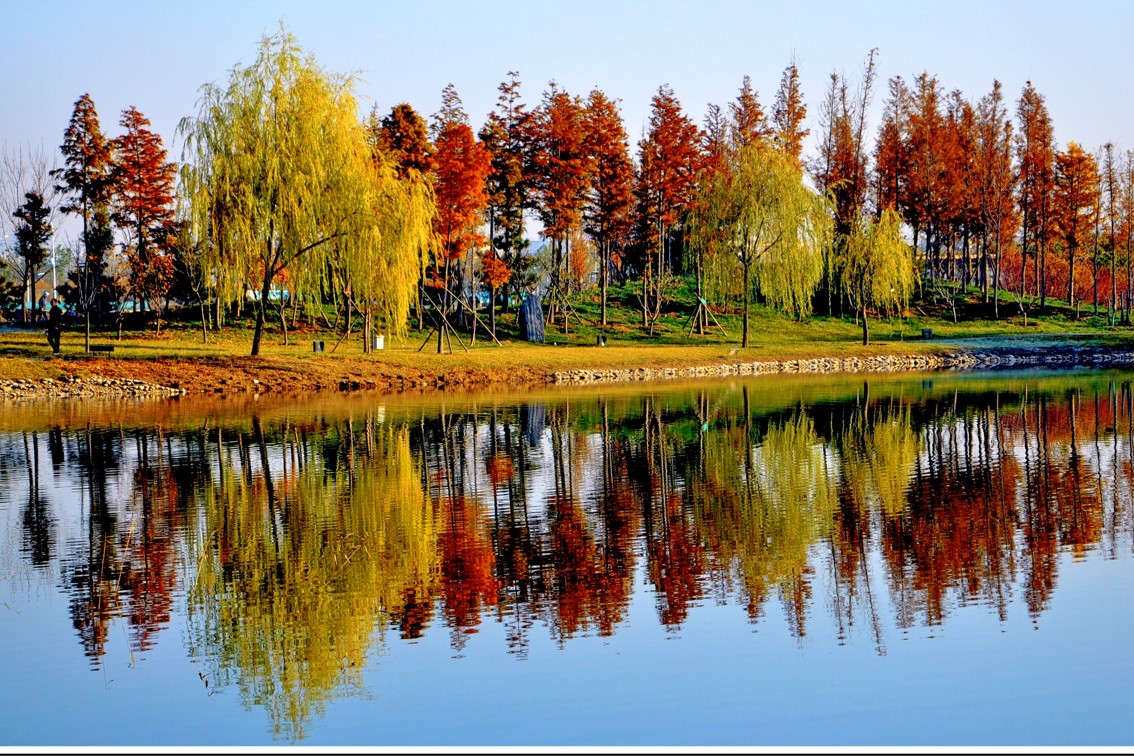 北理与北邮怎么选,北邮和北大哪个好