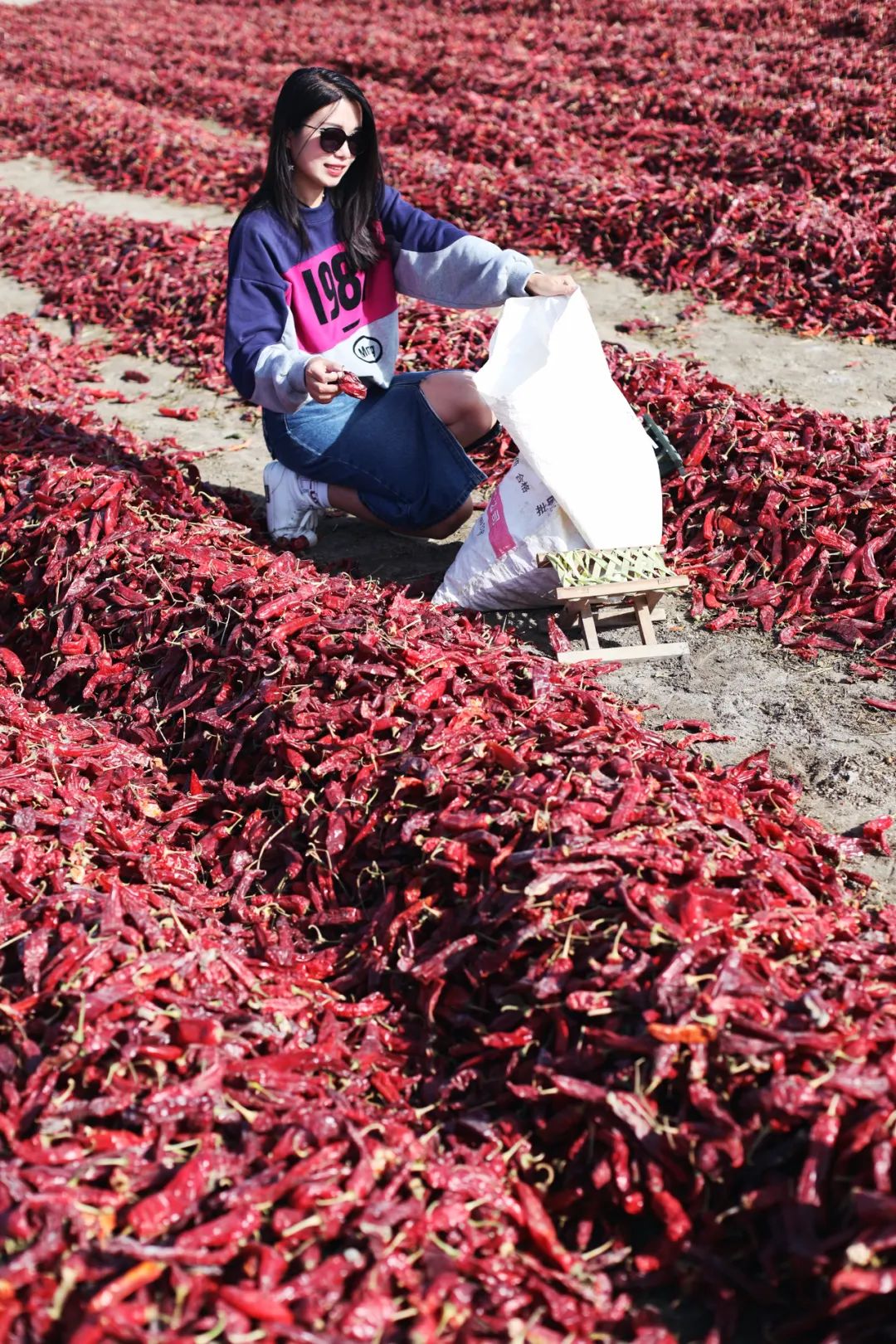 苏州女子探秘南疆巴州：这是一处色彩的世界，超出你的想象