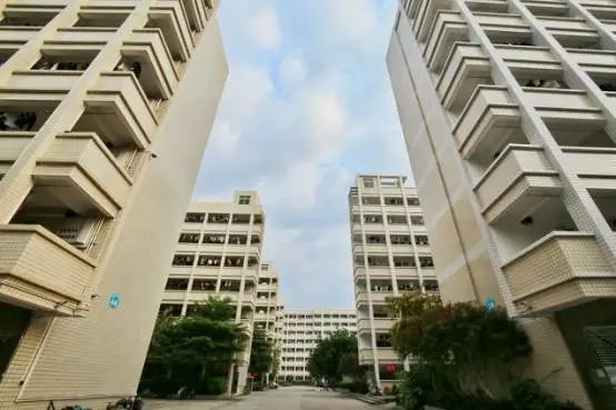 高职高考嘉应学院技能考试,梅州嘉应学院高职高考分数排名