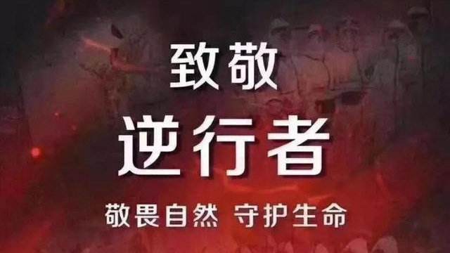 大疫之下五种形势,中国医疗行业最新消息