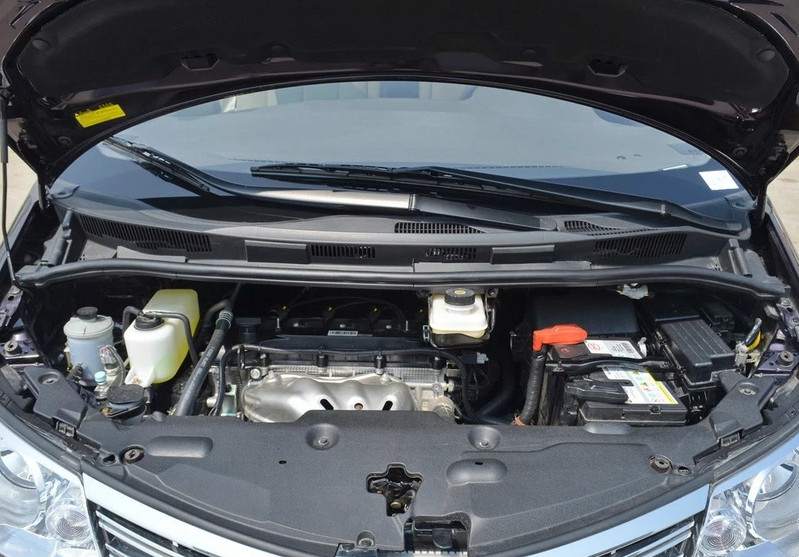 大霸王国产,国产大霸王