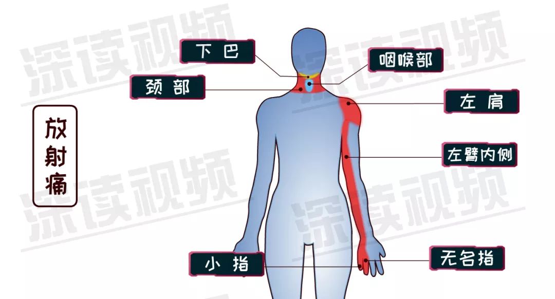 网约车司机猝死跟什么有关,网约车司机疑因疲劳过度猝死