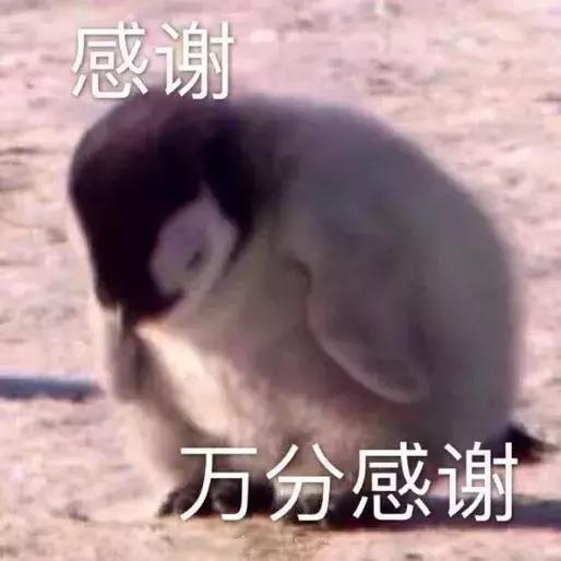 *处私**痒痒痒，「洗洗」能止痒？你还要被骗多久