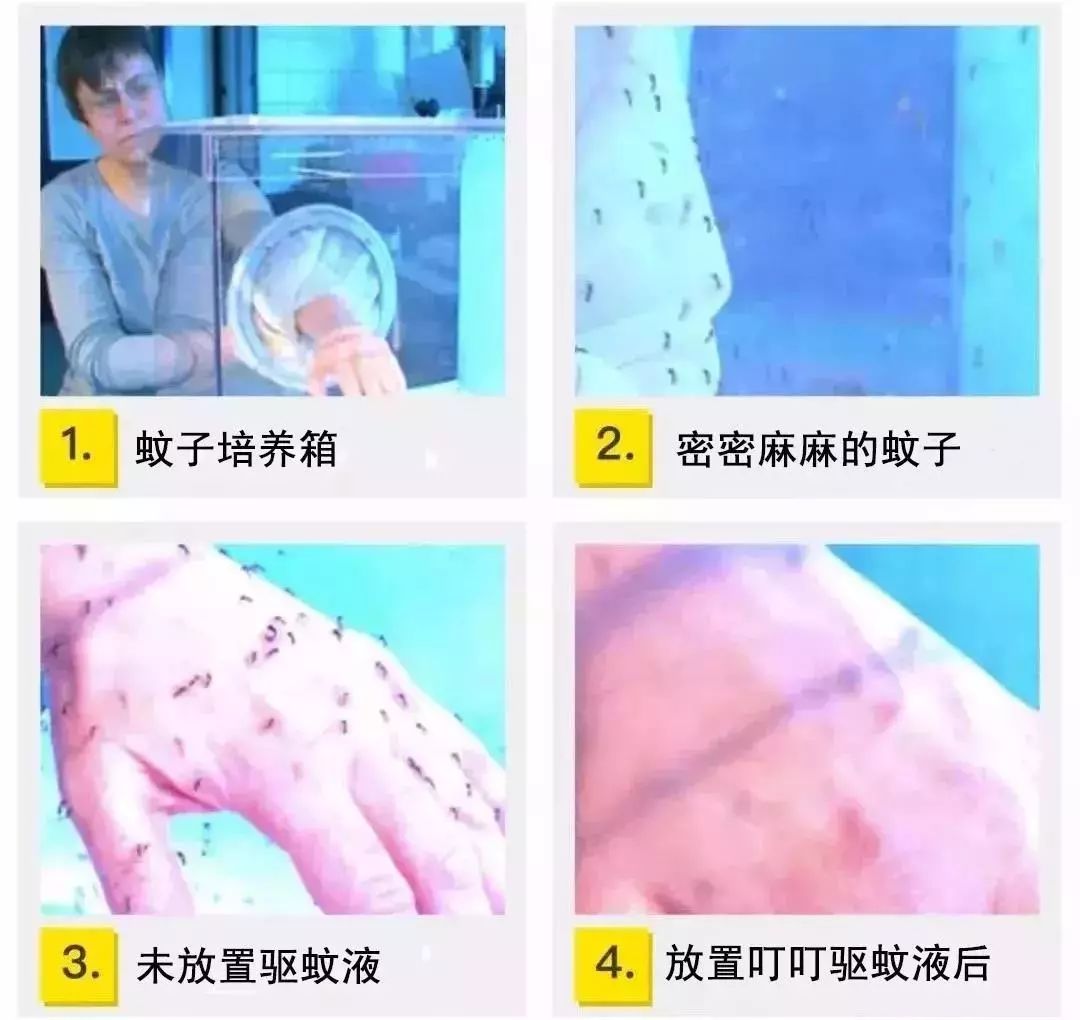 灭蚊神器怕蚊子的人赶紧入手吧,日本户外灭蚊器