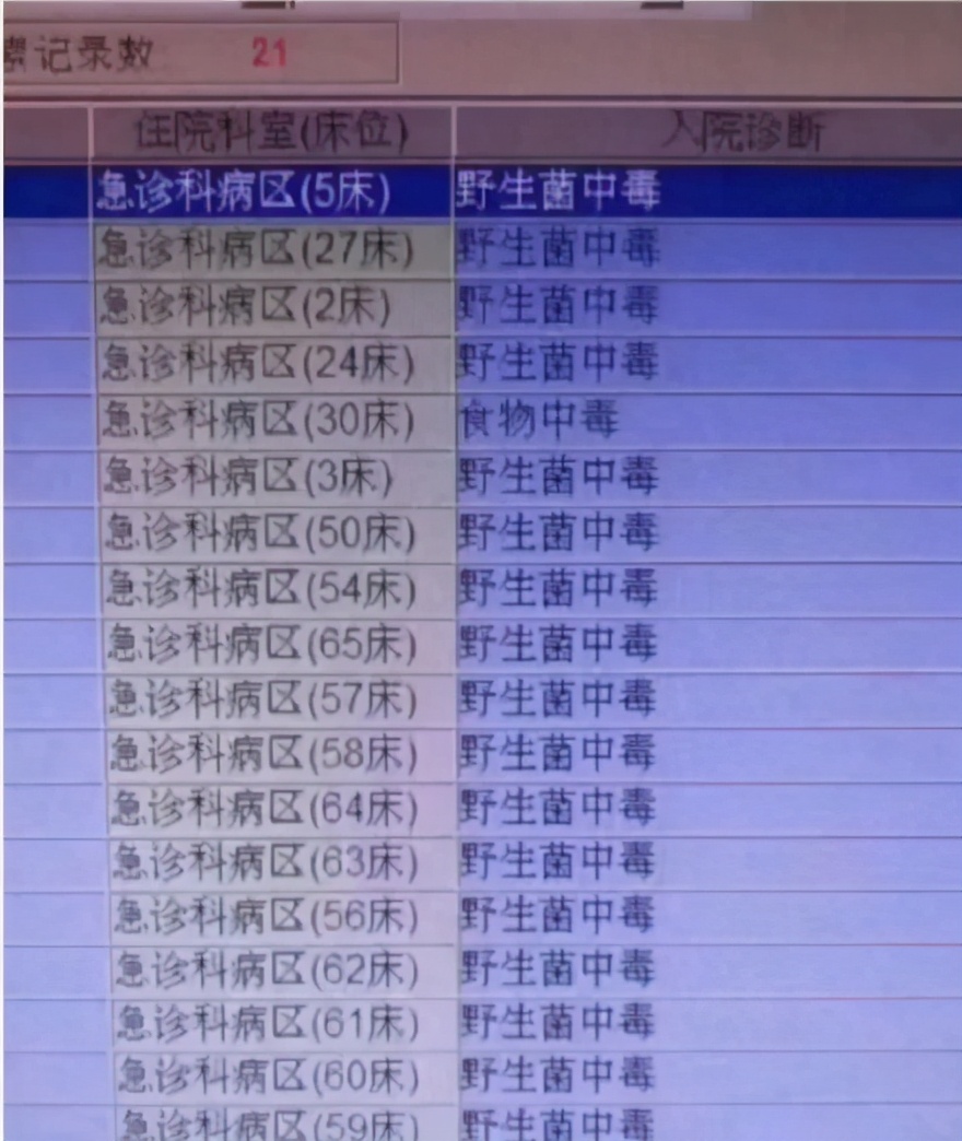 云南试毒大赛,又到了一年一度试毒的季节了