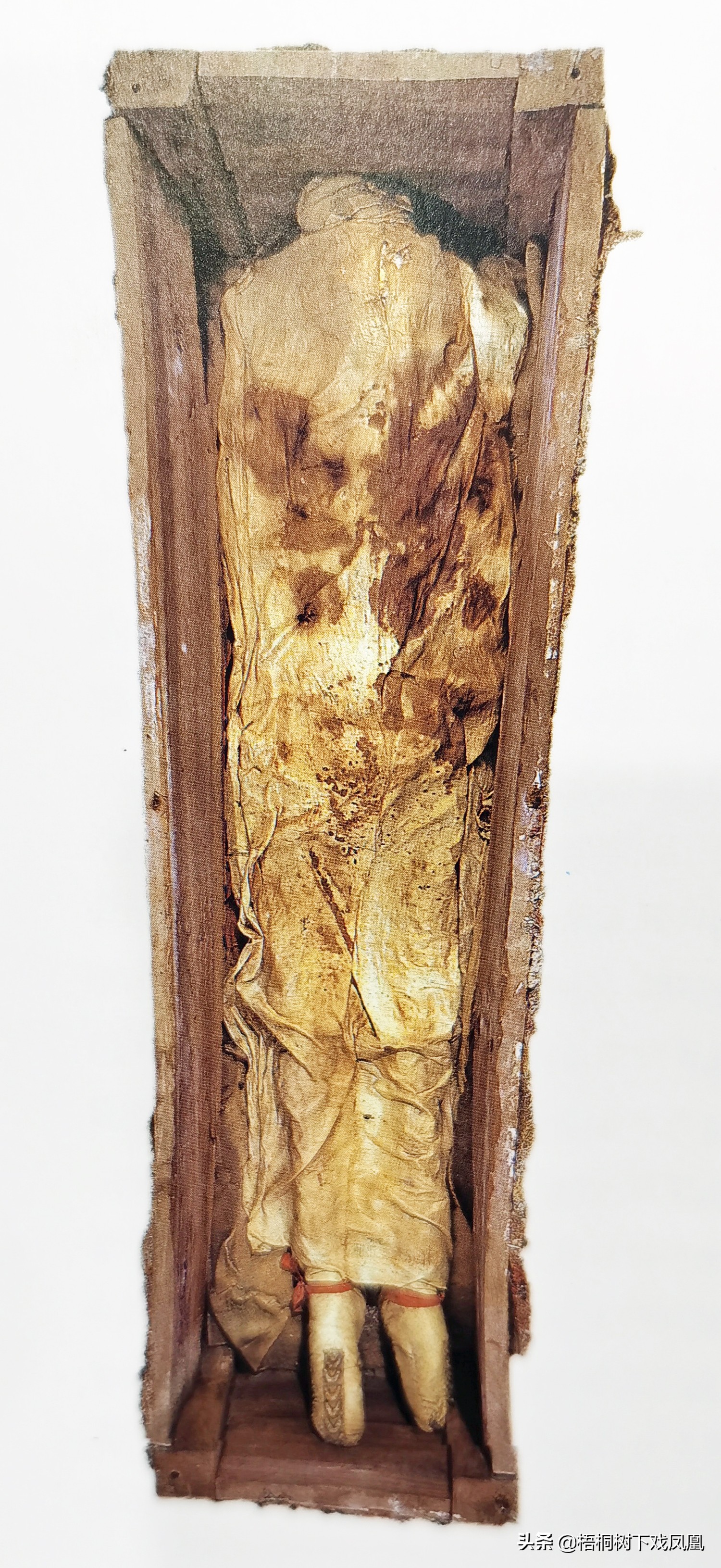 出土千年难得一见的古墓,考古发掘沙漠古墓