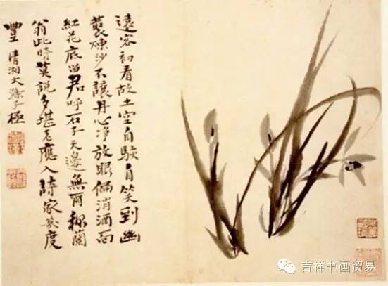 看看大家都是怎么画眉毛的,二月兰怎么画简单好看