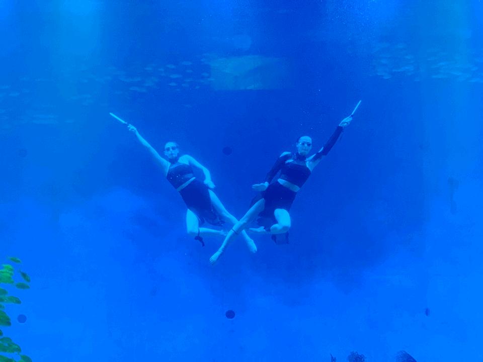 合肥首家室内动物园在哪,合肥新桥动物园