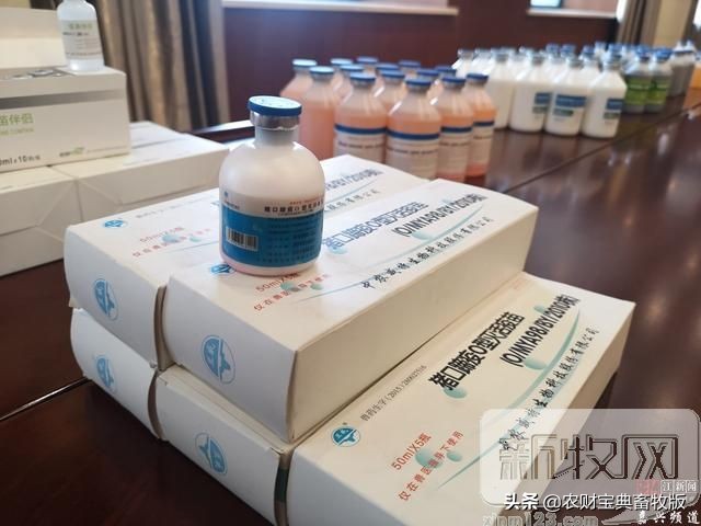 宠物店买宠物猪被骗,宠物店卖药品被查