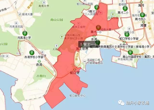 深圳最好的十大民办小学,深圳最好的小学排名一览表