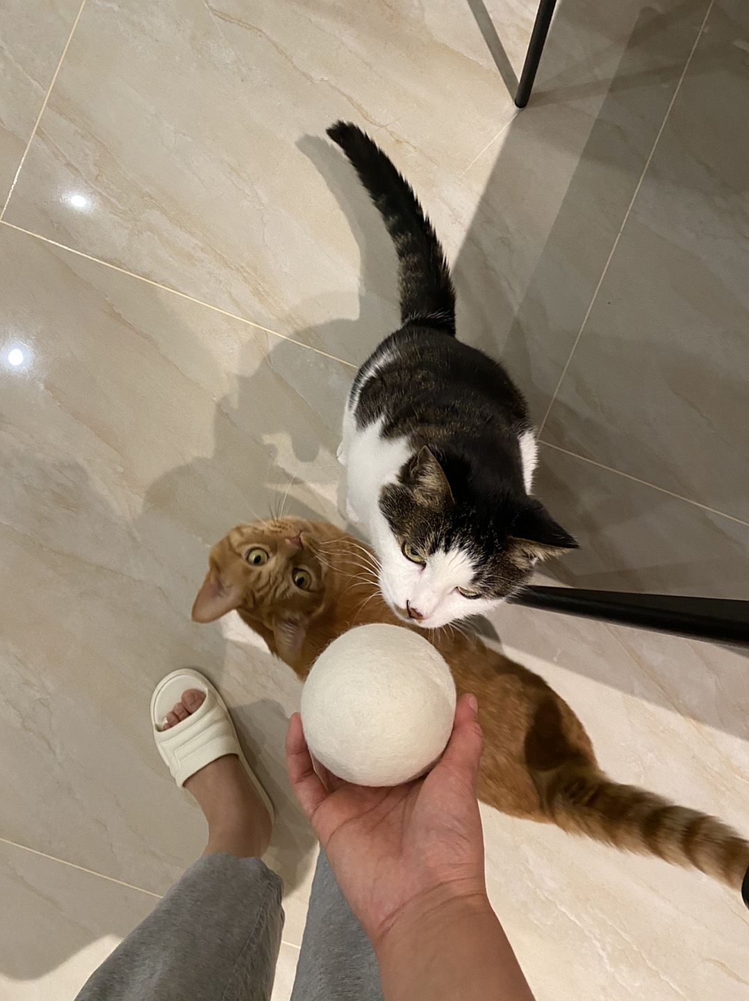 建议家中要常备7件物品,家中常备的十种物品