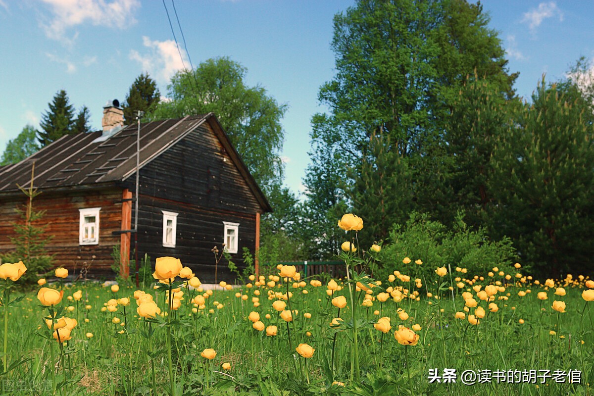 向往田园生活的人说明什么,为什么很多人向往田园生活