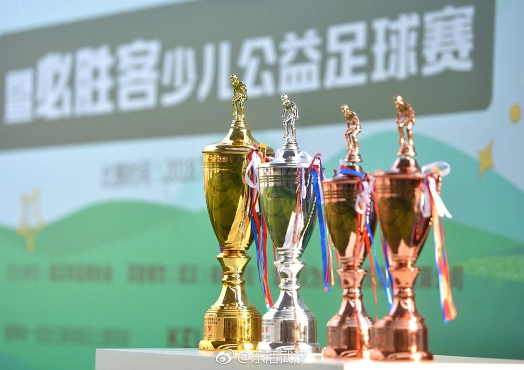 星耀五洲杯武汉队伍展示,星耀五洲足球湖北