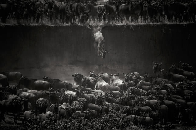 全球最顶级黑白摄影,全球最美的顶级摄影图片