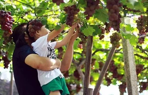 在长沙生活的你，怎么能不知道这些“*规则潜**”