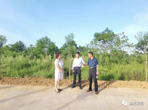 有变化！有成效！中店乡路好景美润万家！