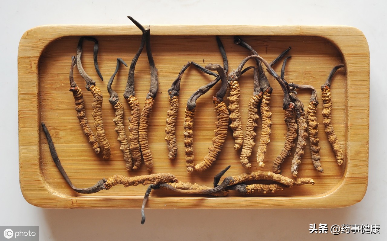 冬虫夏草的功效作用小孩能吃吗,冬虫夏草的功效与作用小孩能吃吗