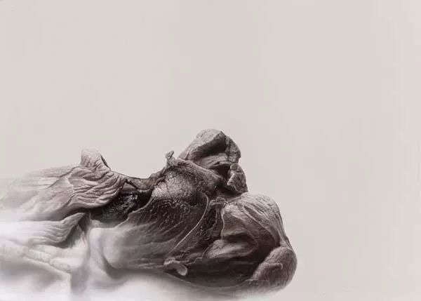 冷军画桃子图片大全,冷军画桃子放大5倍