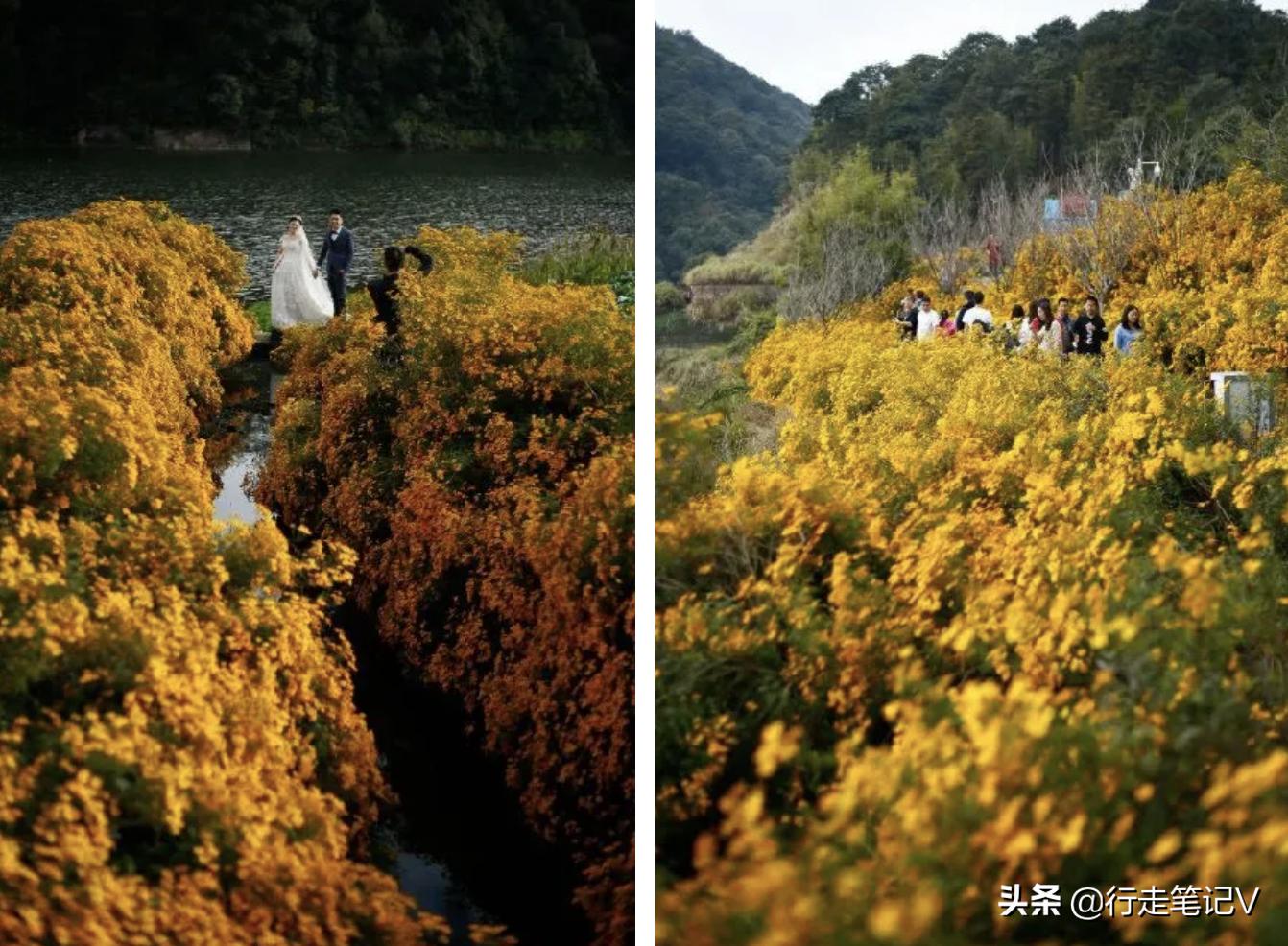 从化温泉野游,广州从化温泉别墅打卡之旅