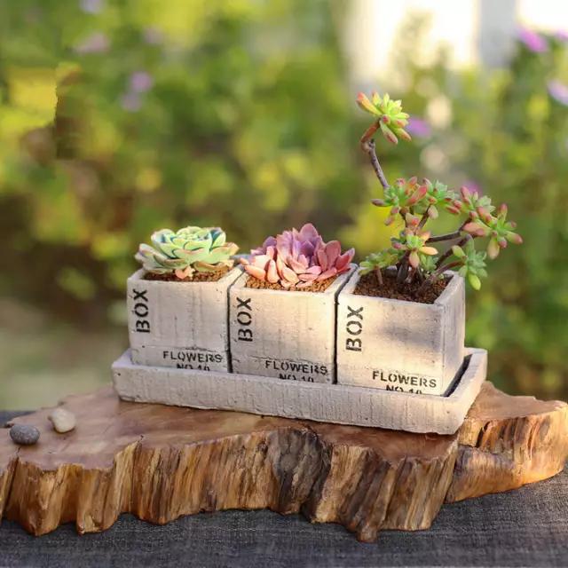 家里花瓶插花放点什么,创意养花花瓶