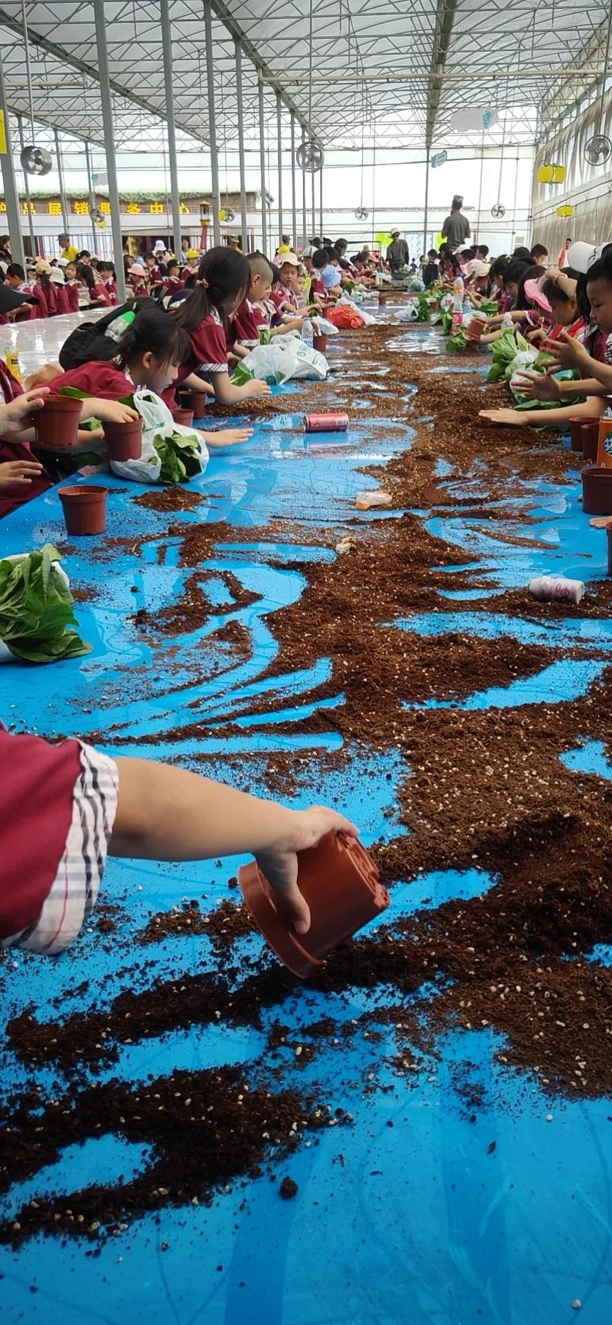 佛山联和吴汉小学寒假,佛山市南海区联和吴汉小学
