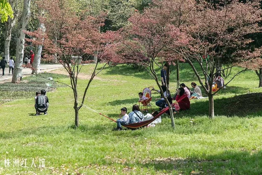 株洲神农公园老照片,株洲市神农公园